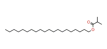Eicosyl isobutyrate